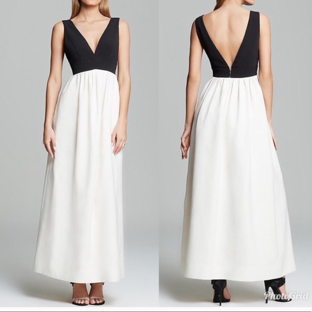 Jill Stuart Sleeveless Black & White Gown